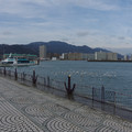 2549-3.jpg