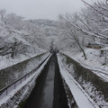 2553-1.jpg