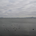 2554-1.jpg