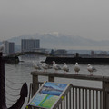 2555-1.jpg