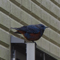 2555-3.jpg