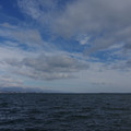 2556-1.jpg