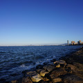 2556-2.jpg