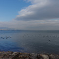 2558-1.jpg
