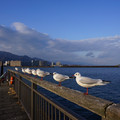 2558-2.jpg