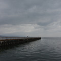 2559-1.jpg