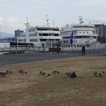 2559-2.jpg