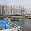 2561-2.jpg