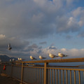 2564-3.jpg