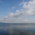 2565-1.jpg