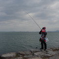 2566-2.jpg