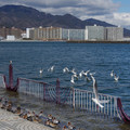 2567-1.jpg