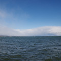 2568-1.jpg