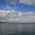 2570-1.jpg