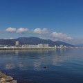 2571-2.jpg
