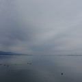 2573-1.jpg