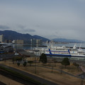 2573-2.jpg