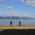 2574-1.jpg