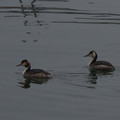 2576-2.jpg