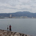 2577-1.jpg