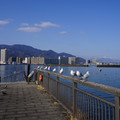 2577-2.jpg