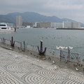 2578-1.jpg
