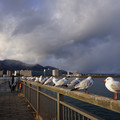 2581-2.jpg