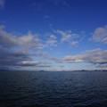 2581-3.jpg