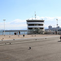 2585-1.jpg