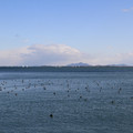 2585-2.jpg