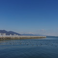 2588-1.jpg