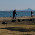 2588-2.jpg