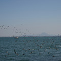 2589-2.jpg