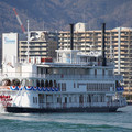 2591-2.jpg