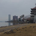 2592-1.jpg