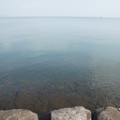 2593-2.jpg