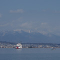 2595-1.jpg