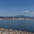 2595-2.jpg