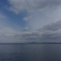 2598-1.jpg