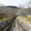 2600-3.jpg