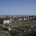 2607-2.jpg