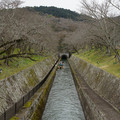 2608-1.jpg