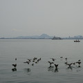 2608-2.jpg
