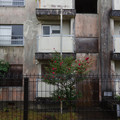 2609-3.jpg