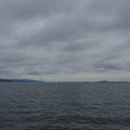 2613-1.jpg