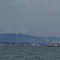 2614-2.jpg