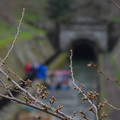 2617-2.jpg