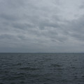 2617-3.jpg