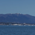 2618-2.jpg