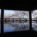 2621-1.jpg